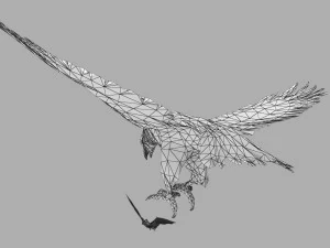 Eagle Attack 3D Model