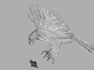 Eagle Attack 3D मॉडल