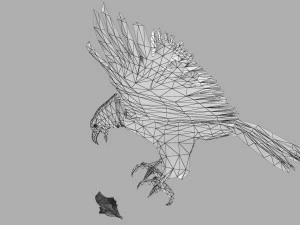 Eagle Attack 3D Model
