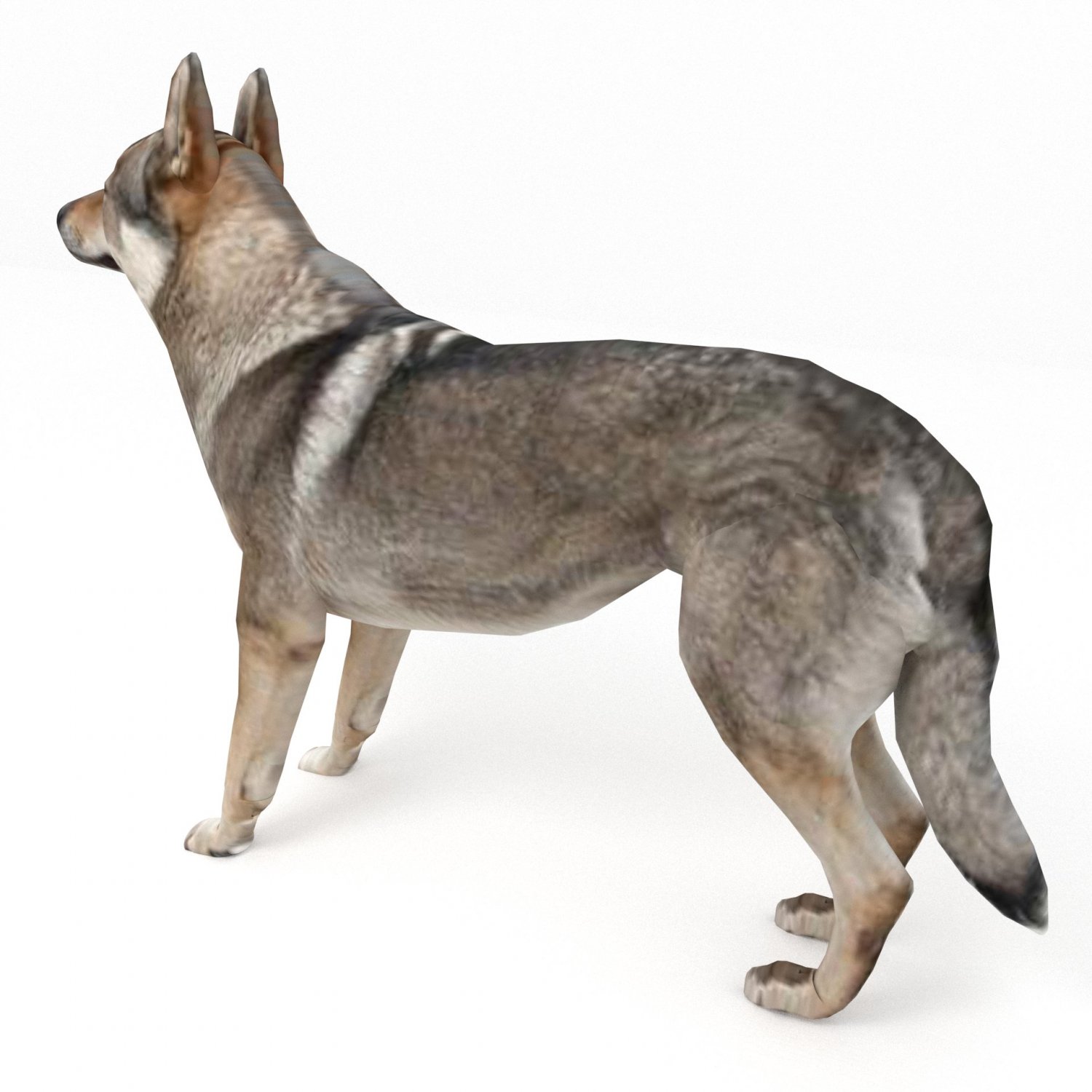 Модель wolf