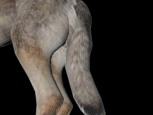 Eurasia Wolf 3D Model
