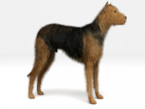Street Dog 3D Model