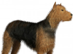 Street Dog Modelo 3D