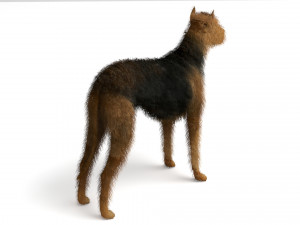 Street Dog Modelo 3D