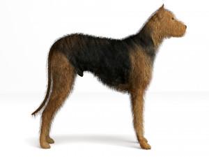 Street Dog Modelo 3D