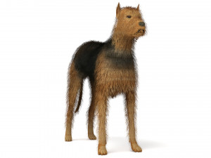 Street Dog Modelo 3D
