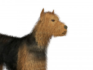 Street Dog Modelo 3D