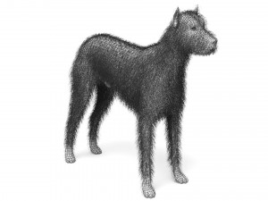 Street Dog Modelo 3D