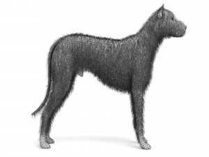 Street Dog Modelo 3D