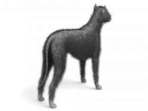 Street Dog Modelo 3D