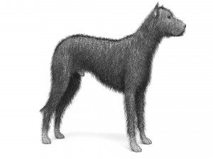 Street Dog Modelo 3D