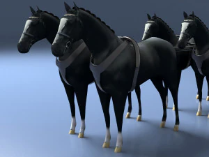 Funeral Carriage 3D Model