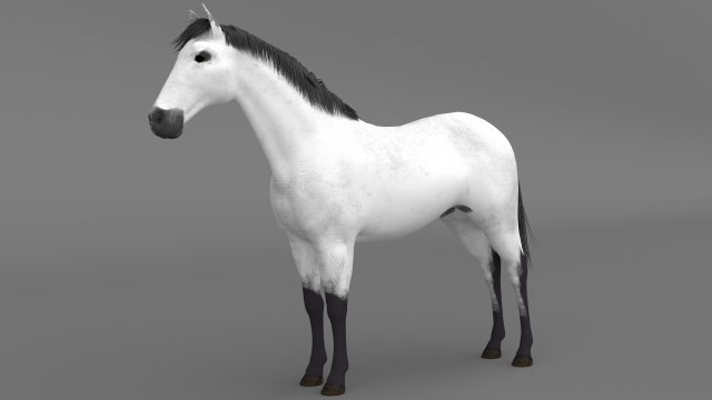 White Horse 4K 3D Модель .c4d .max .obj .3ds .fbx .stl .blend 