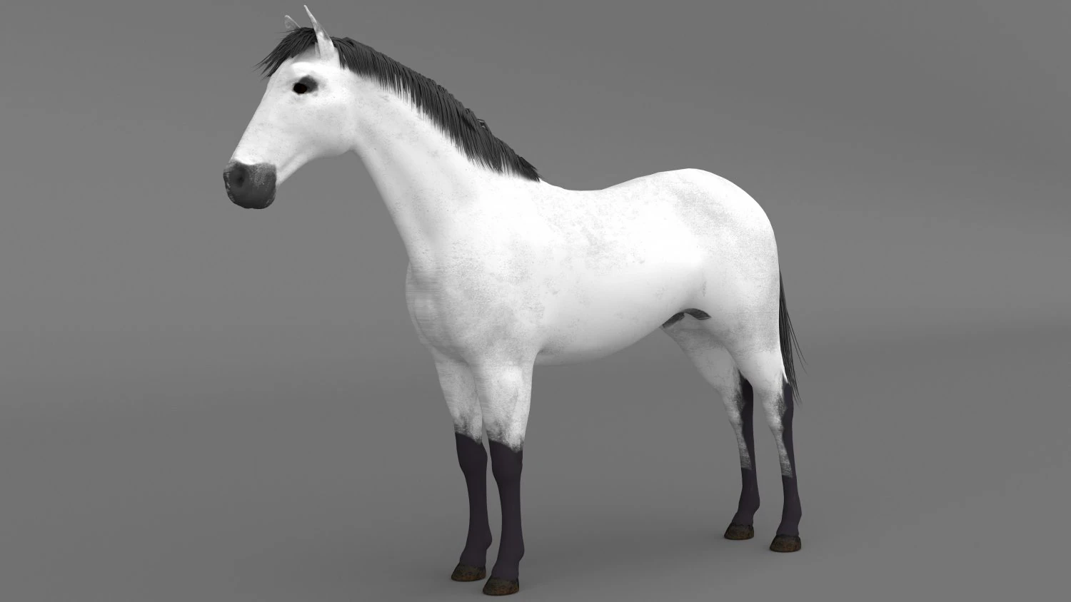 White Horse 3D Model .c4d .max .obj .3ds .fbx .stl .blend 