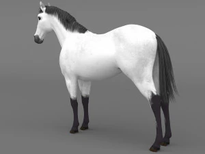 White Horse 3D Model