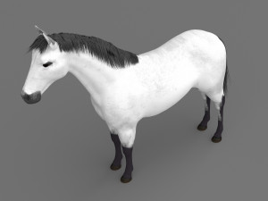 White Horse 4K 3D Модель