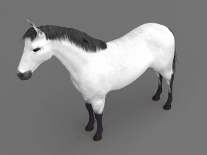 White Horse 3D Model