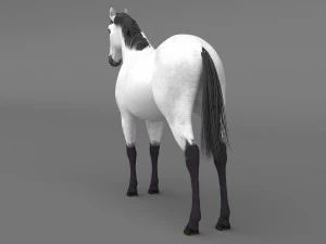 White Horse 3D Model