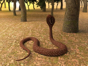 Spectacled Cobra 4K 3D Model