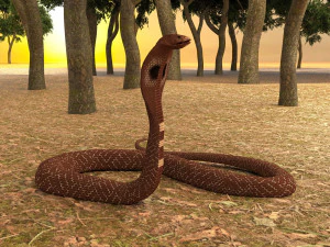 Spectacled Cobra 4K 3D Model
