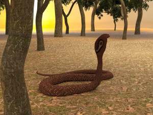 Spectacled Cobra 4K 3D Модель
