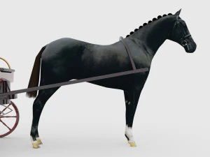 Phaeton 3D Model