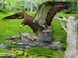 Eagle Attack 2 - 4K 3D 模型