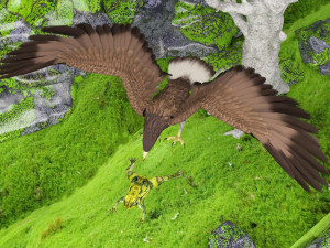 Eagle Attack 2 - 4K Model 3D