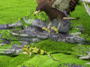Eagle Attack 2 - 4K Model 3D