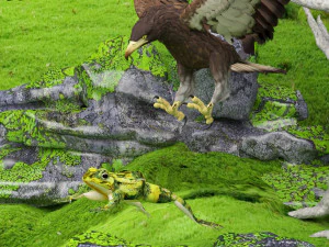 Eagle Attack 2 - 4K 3D Model