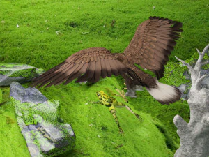 Eagle Attack 2 - 4K 3D Model