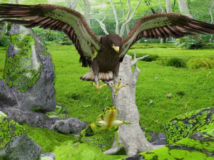 Eagle Attack 2 - 4K 3D Model