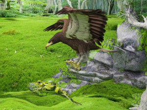 Eagle Attack 2 - 4K Model 3D