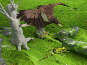 Eagle Attack 2 - 4K Model 3D