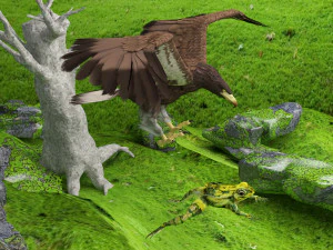 Eagle Attack 2 - 4K 3D Model