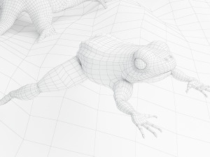Eagle Attack 2 - 4K Model 3D