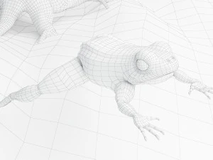 Eagle Attack 2 - 4K 3D Model