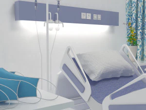 Observation Ward 3D Model