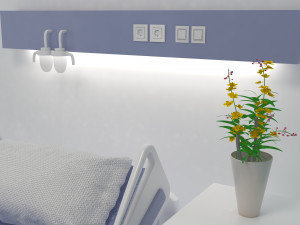 Observation Ward 4K Modelo 3D