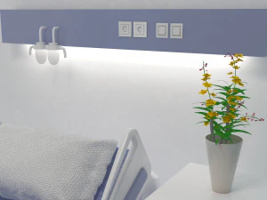 Observation Ward 3D Model