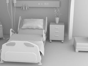 Observation Ward 3D Model