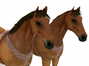 Western Wagon 6 3D-Modell