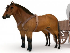 Western Wagon 6 3D-Modell