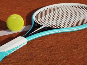 Rachit - Tennis Racket Model 3D
