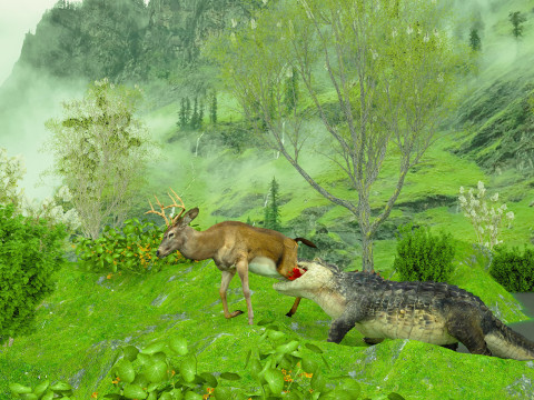 Alligator Attack 4K 3D Model