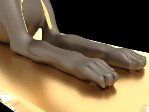 Figure of God Anubis 3D Model