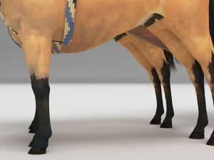 &Ocirc;nibus a cavalo 4K Modelo 3D