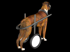 Dog Wheelchair 8K 3D Модель