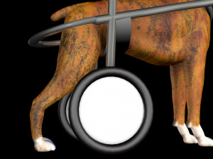 Dog Wheelchair 8K 3D Модель