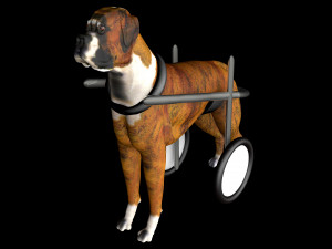 Dog Wheelchair 8K 3D Модель